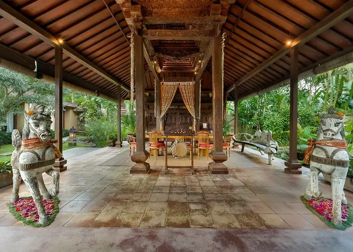 Bodhi 3*